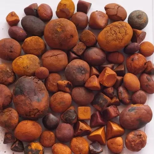 OX Cow Gallstone